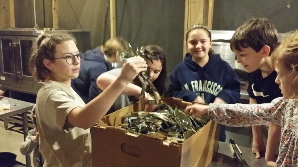 Gulf Coast Crabs at Lakeshore Mississippi